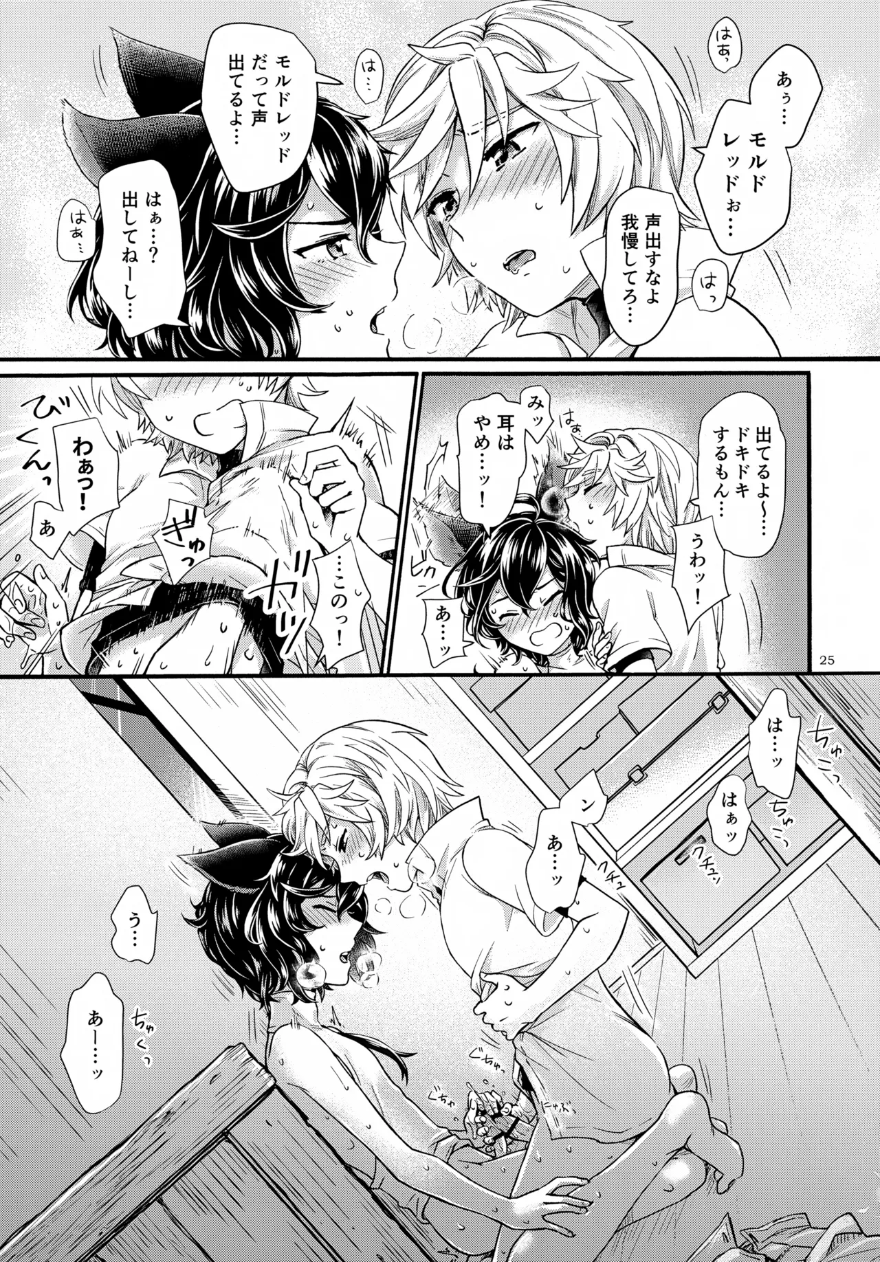 Wakaba to Hinadori - Page 25