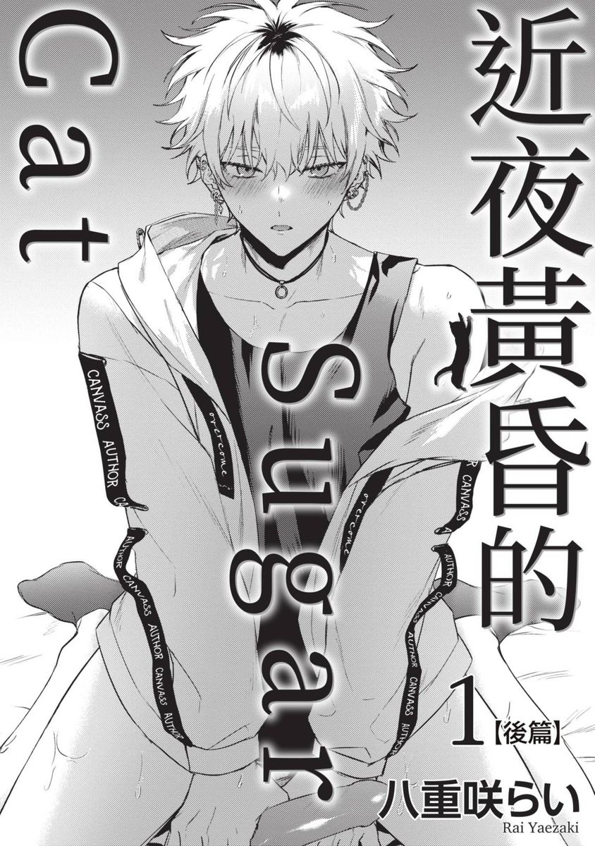 Yoiyami Sugar Cat | 近夜黃昏的Sugar cat page 33 - full censorship x-ray hentai manga - read online free