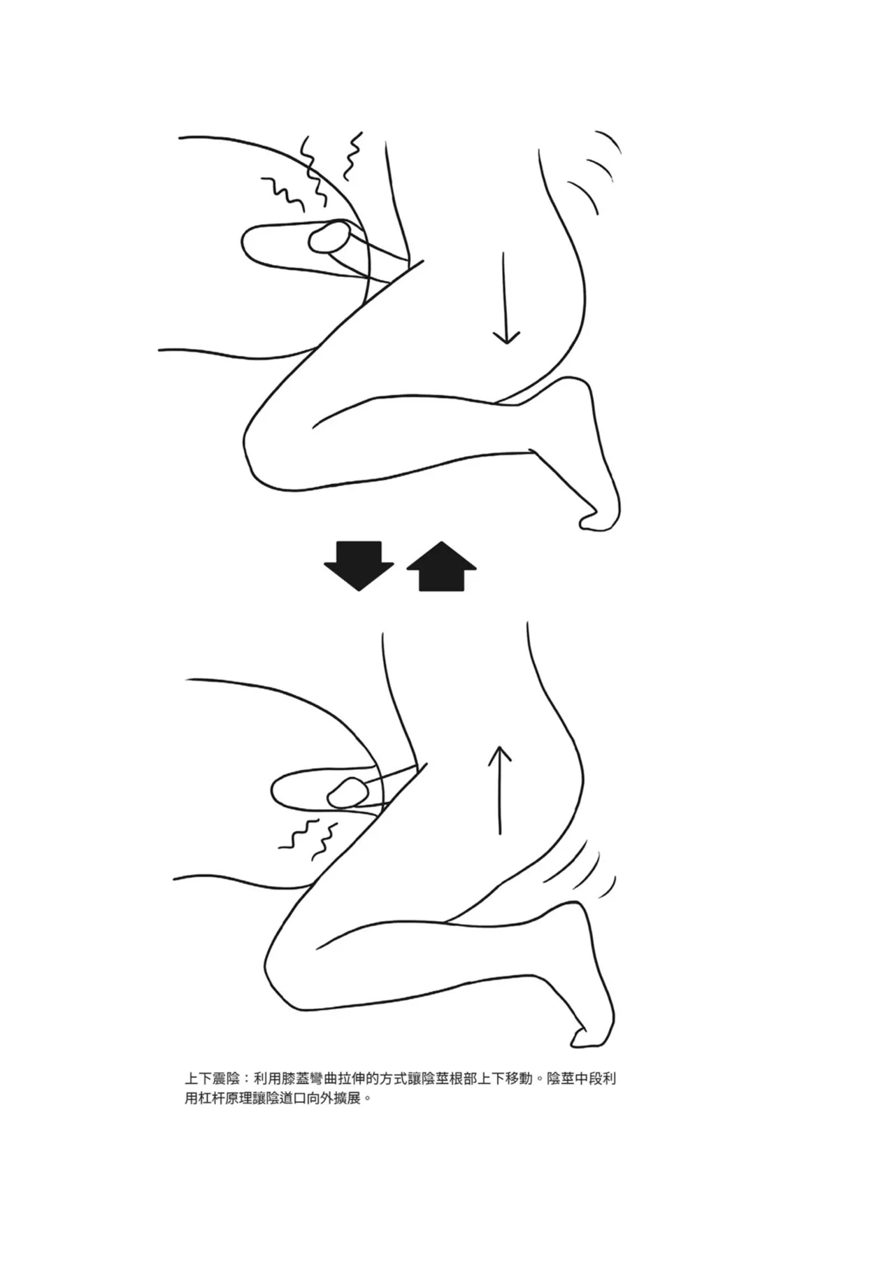 抽插攻略：圖解陰道插入．活塞運動完全指南 page 170 - how to hentai manga - read online free