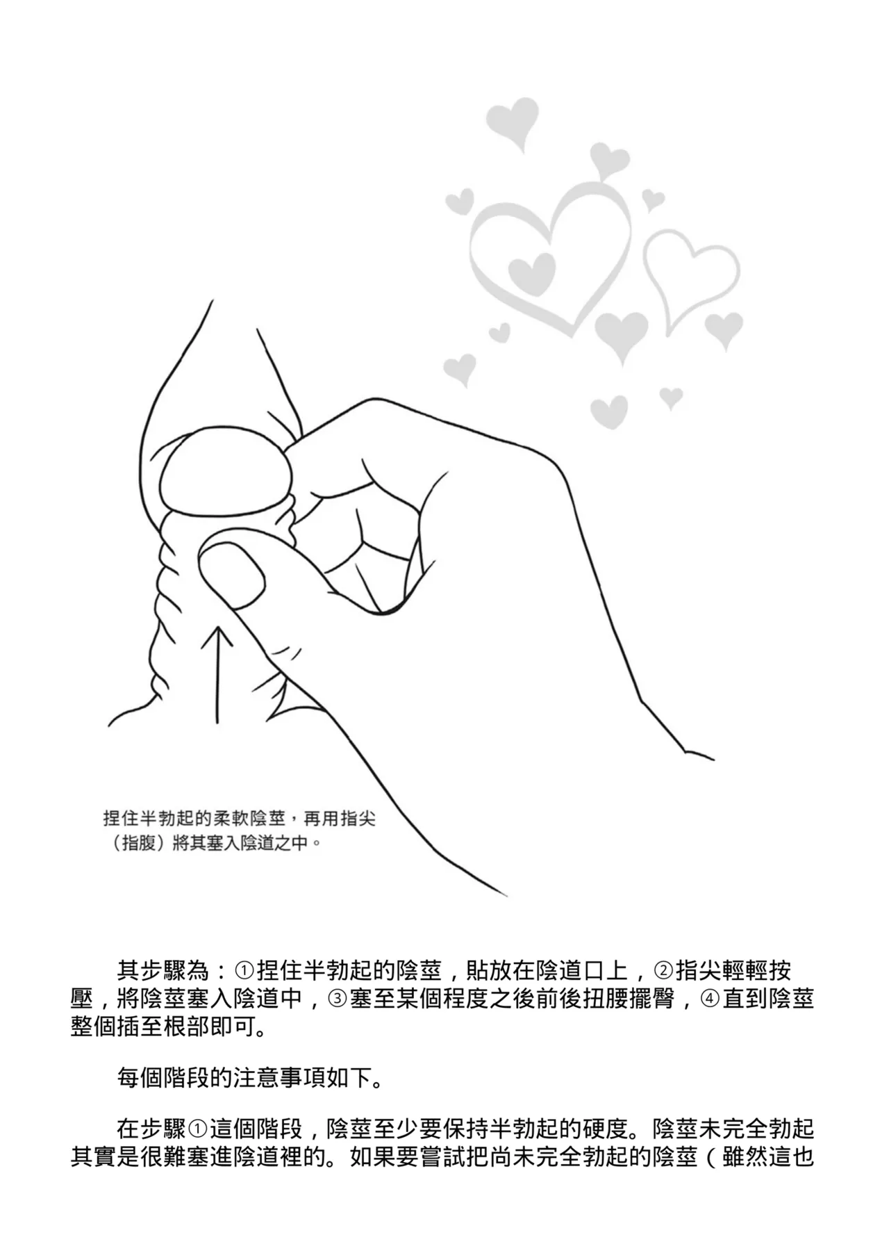 抽插攻略：圖解陰道插入．活塞運動完全指南 - Page 40