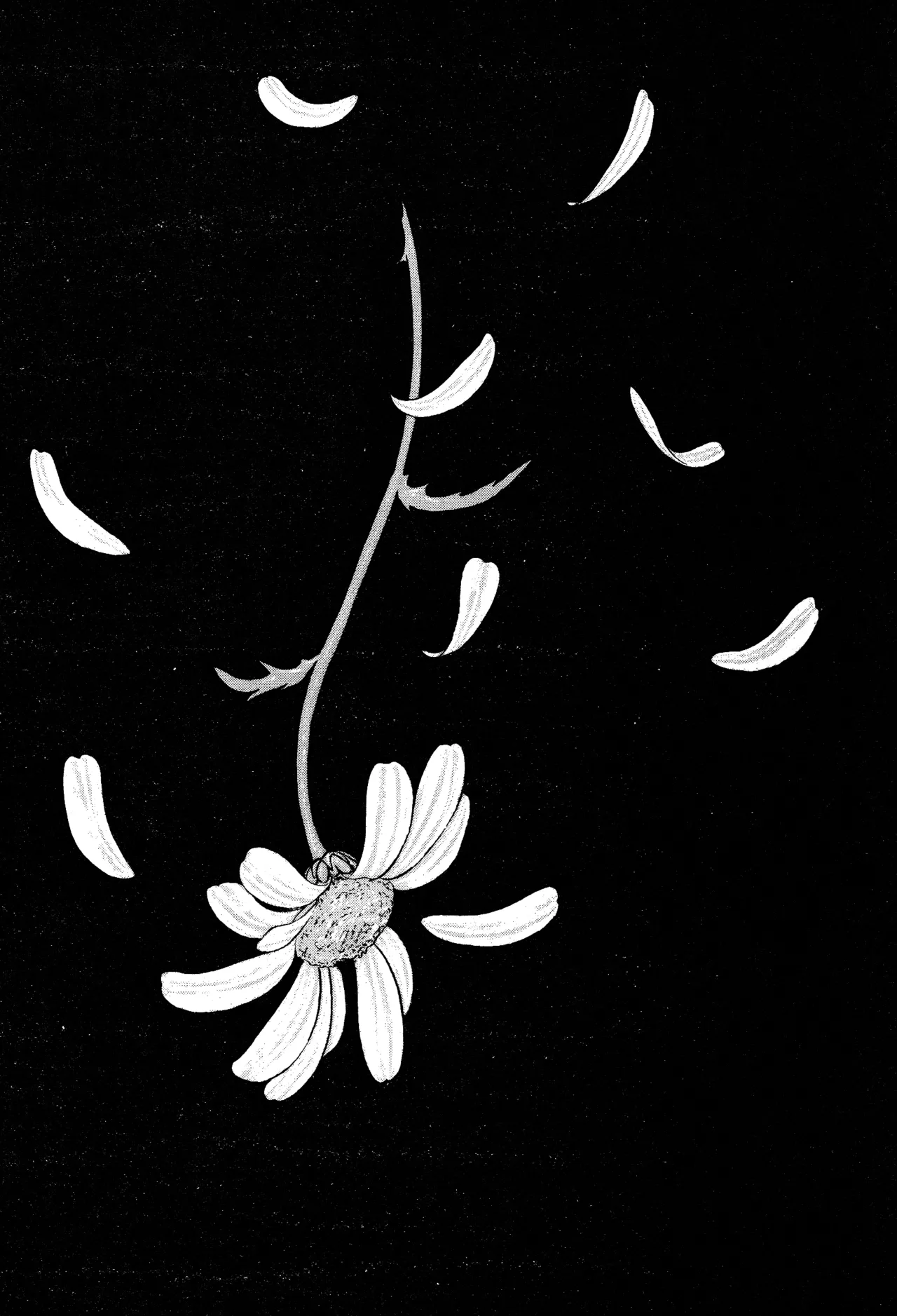 Burgess' Girls 1: Chapter of Wiwaxia page 126 - piercing guro hentai manga - read online free