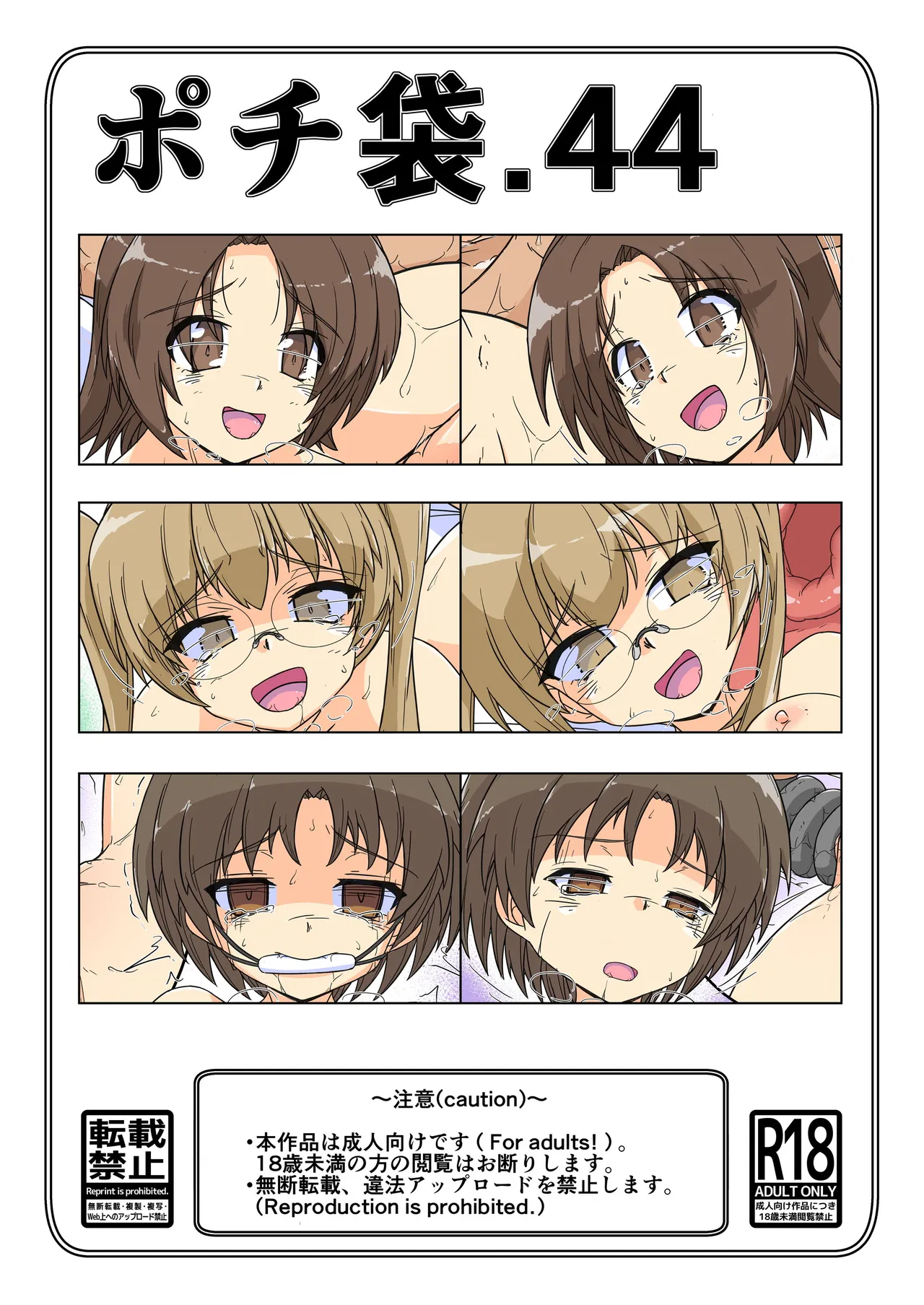 Pochibukuro 44_Usagi-san Team Ue - Page 1