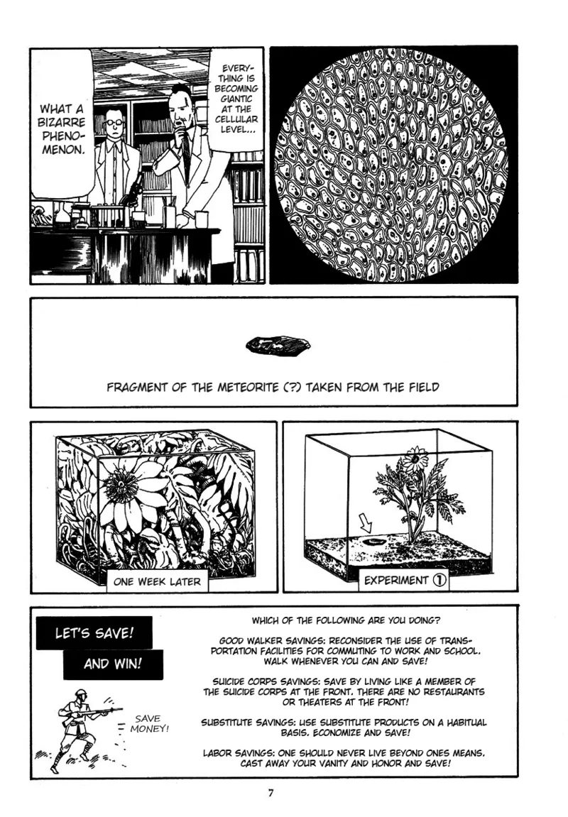 [Kago Shintarou] Kagayake! Dai Toua Kyouei Ken | Sparkle! Greater East-Asian Co-Prosperity Sphere [English] page 12 - tankoubon guro hentai manga - read online free