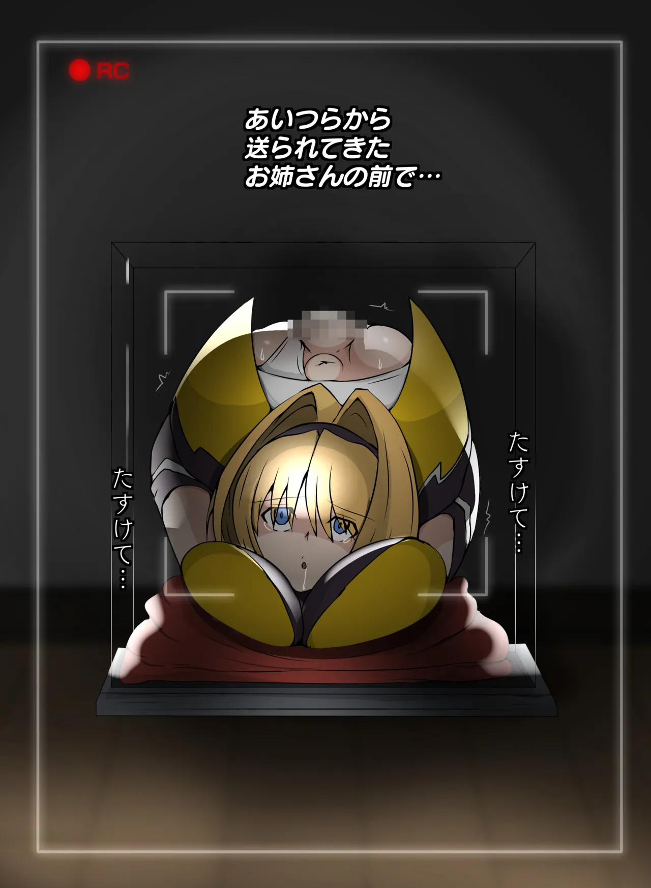 箱化処理される超昂閃忍ハルカ - Page 14