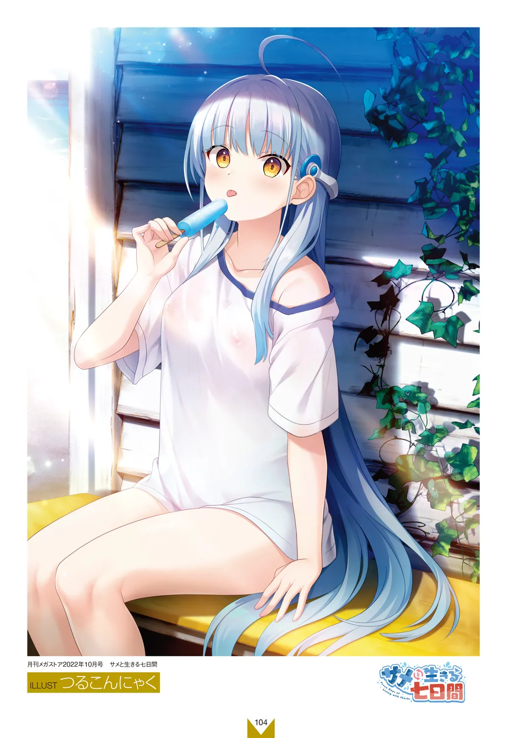 Megastore COVER ILLUSTRATIONS EX - Page 106