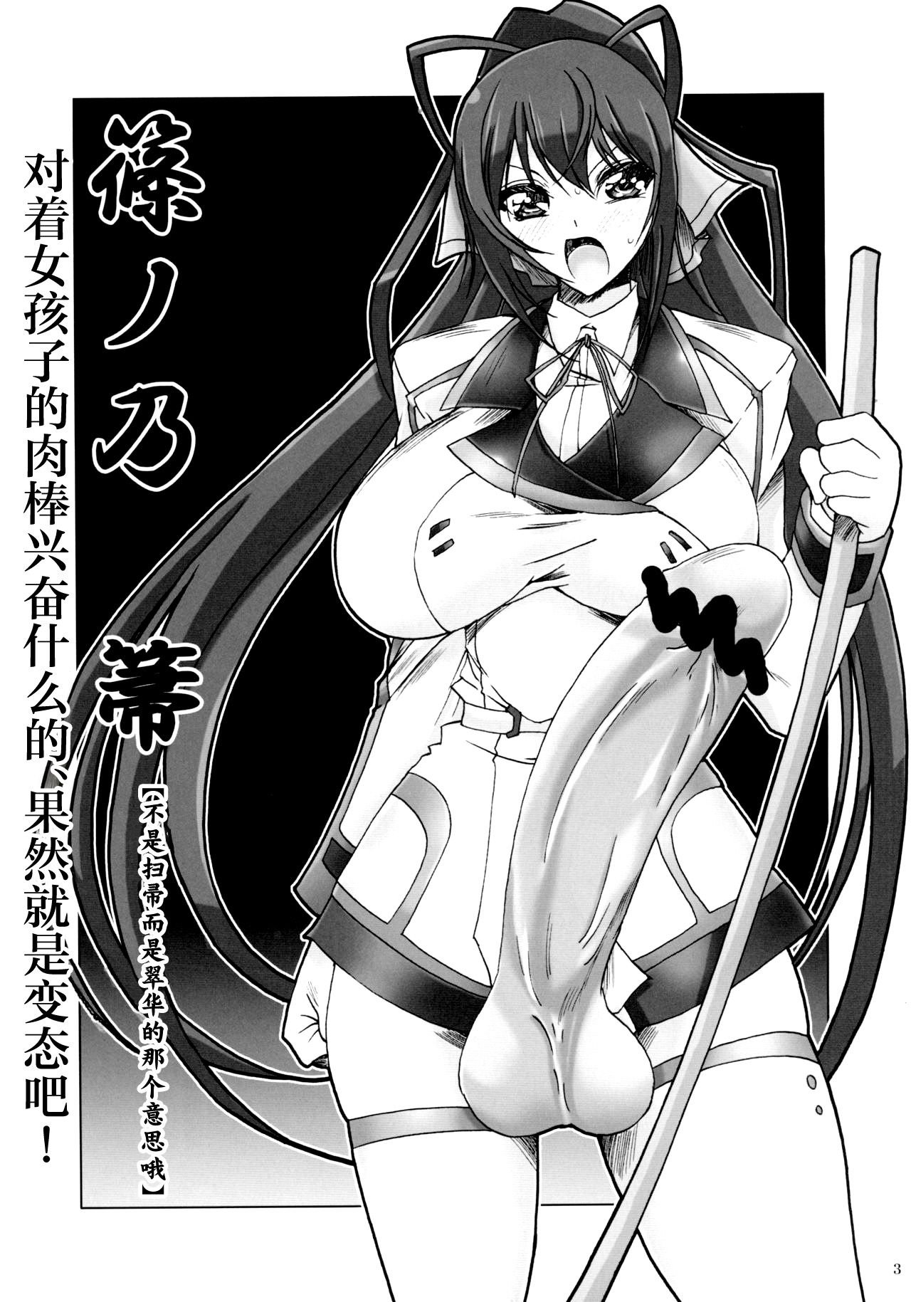 IJP Infinite Stratos no joseitachi ni penis ga haeta dake no hon - Page 3