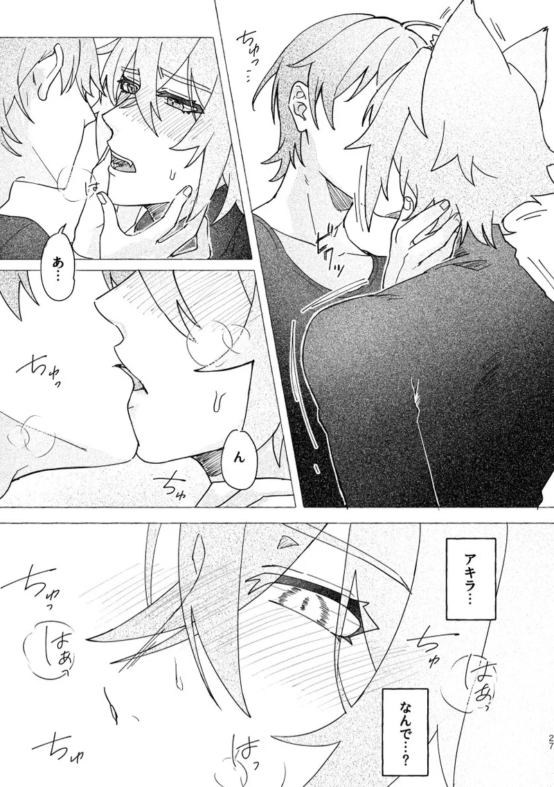 Seth no Neko Bubun, Okarishimasu - Page 27