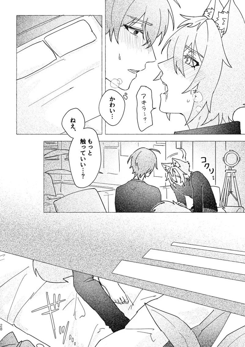 Seth no Neko Bubun, Okarishimasu - Page 28