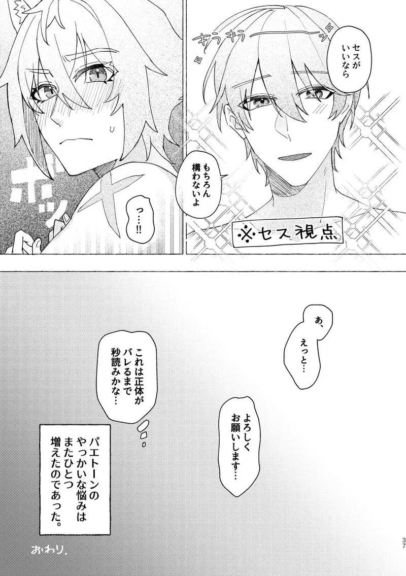 Seth no Neko Bubun, Okarishimasu - Page 37