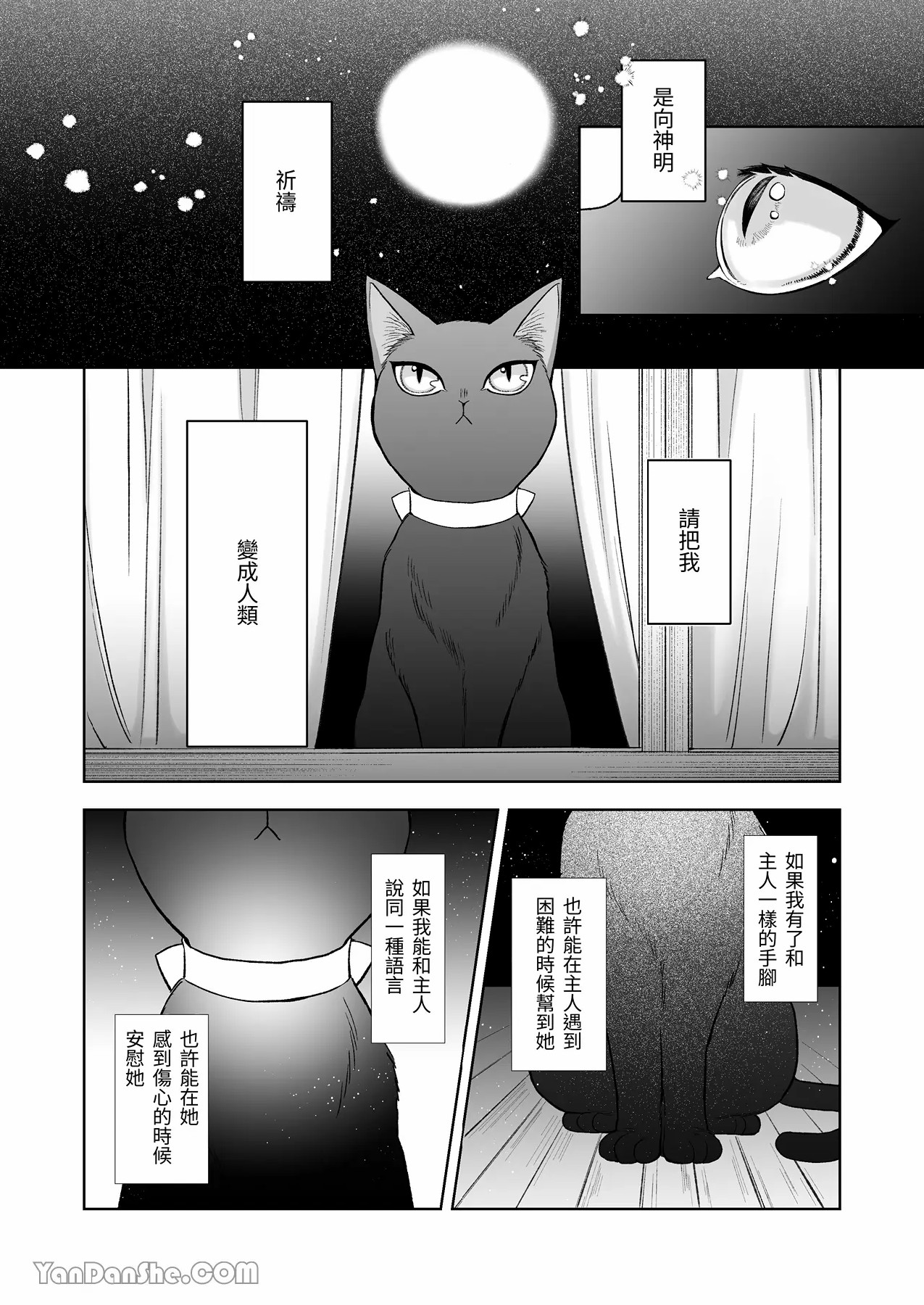 【丹下】黑貓小黑的報恩既笨拙又放肆 page 15 original parody - sole female sole male hentai manga - read online free