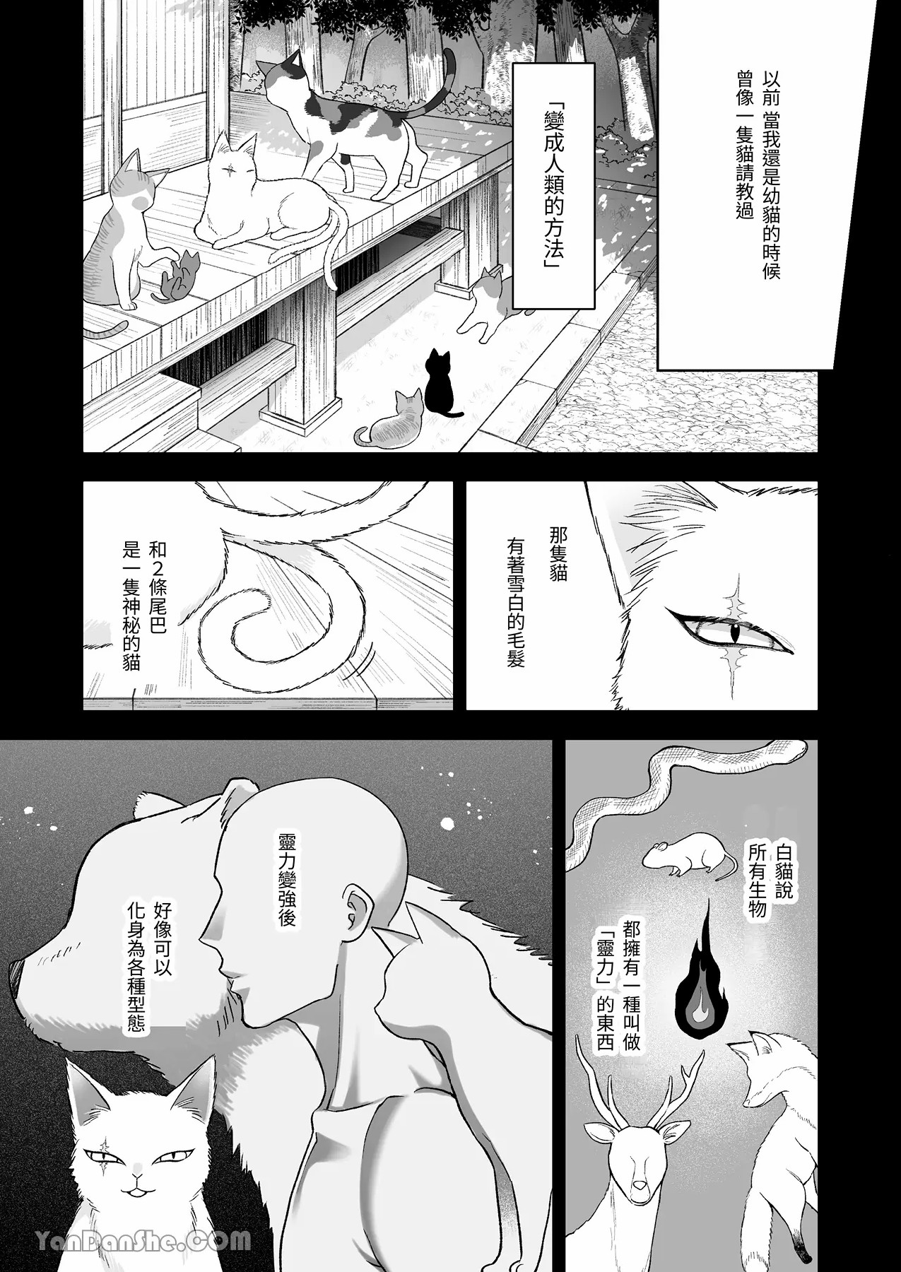 【丹下】黑貓小黑的報恩既笨拙又放肆 - Page 16
