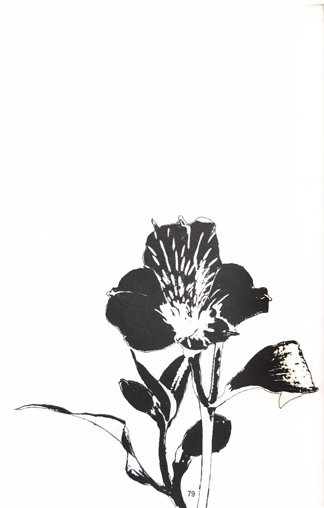 First Contact page 34 featuring dante devil may cry parody - anal anal intercourse hentai manga - read online free