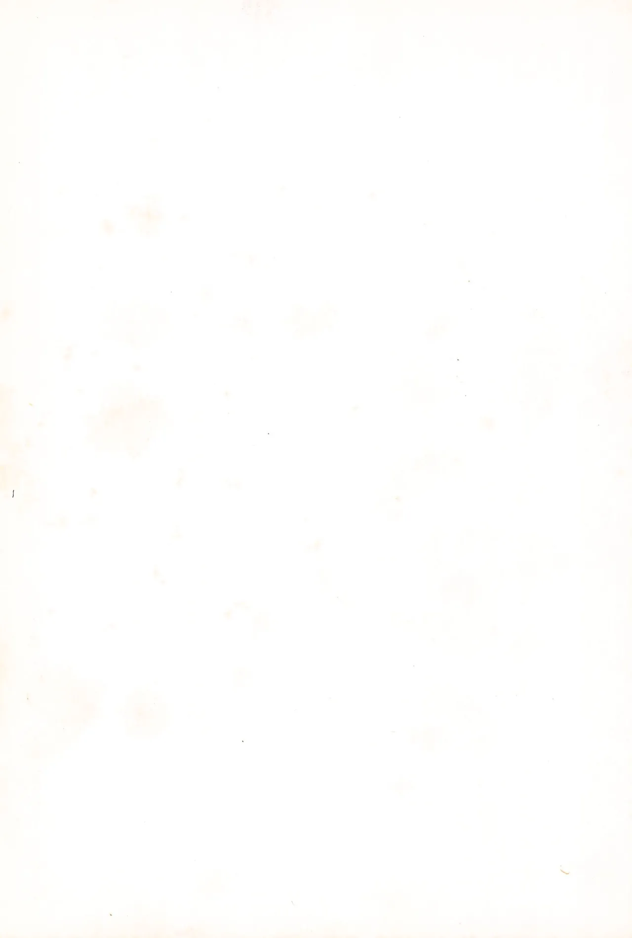 FRACTURE 3 page 124 original parody - catgirl kemonomimi hentai manga - read online free