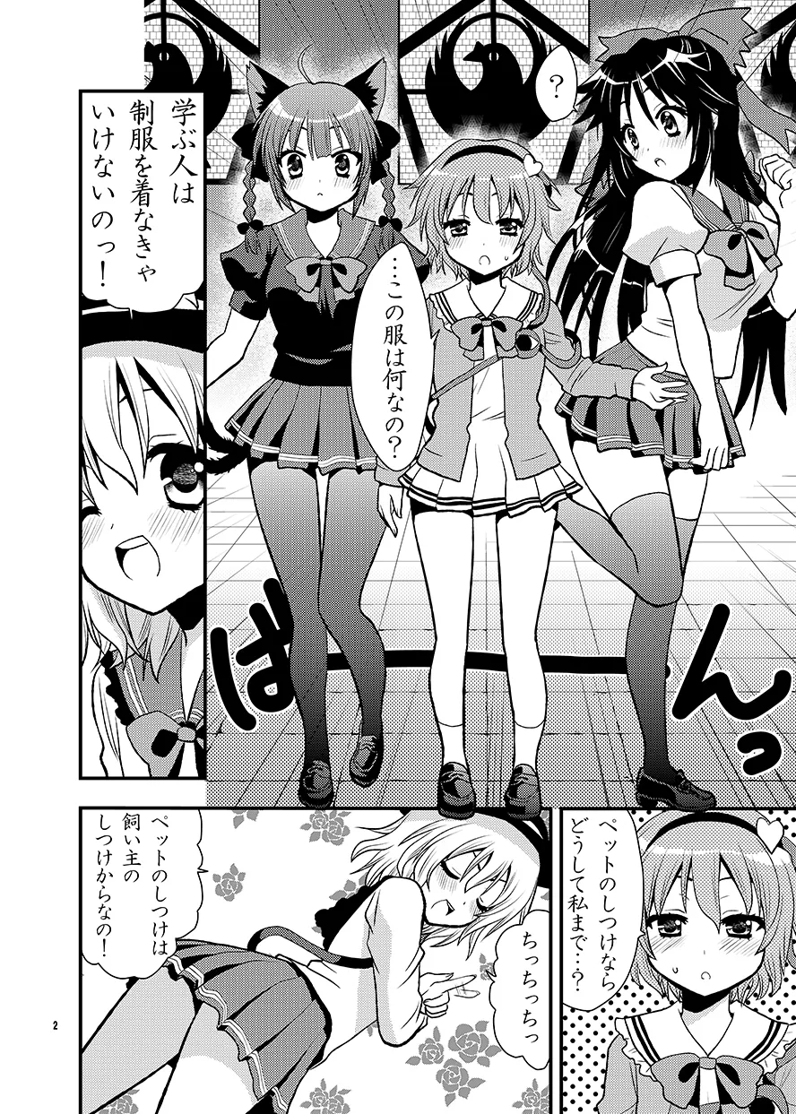 Preview page 3