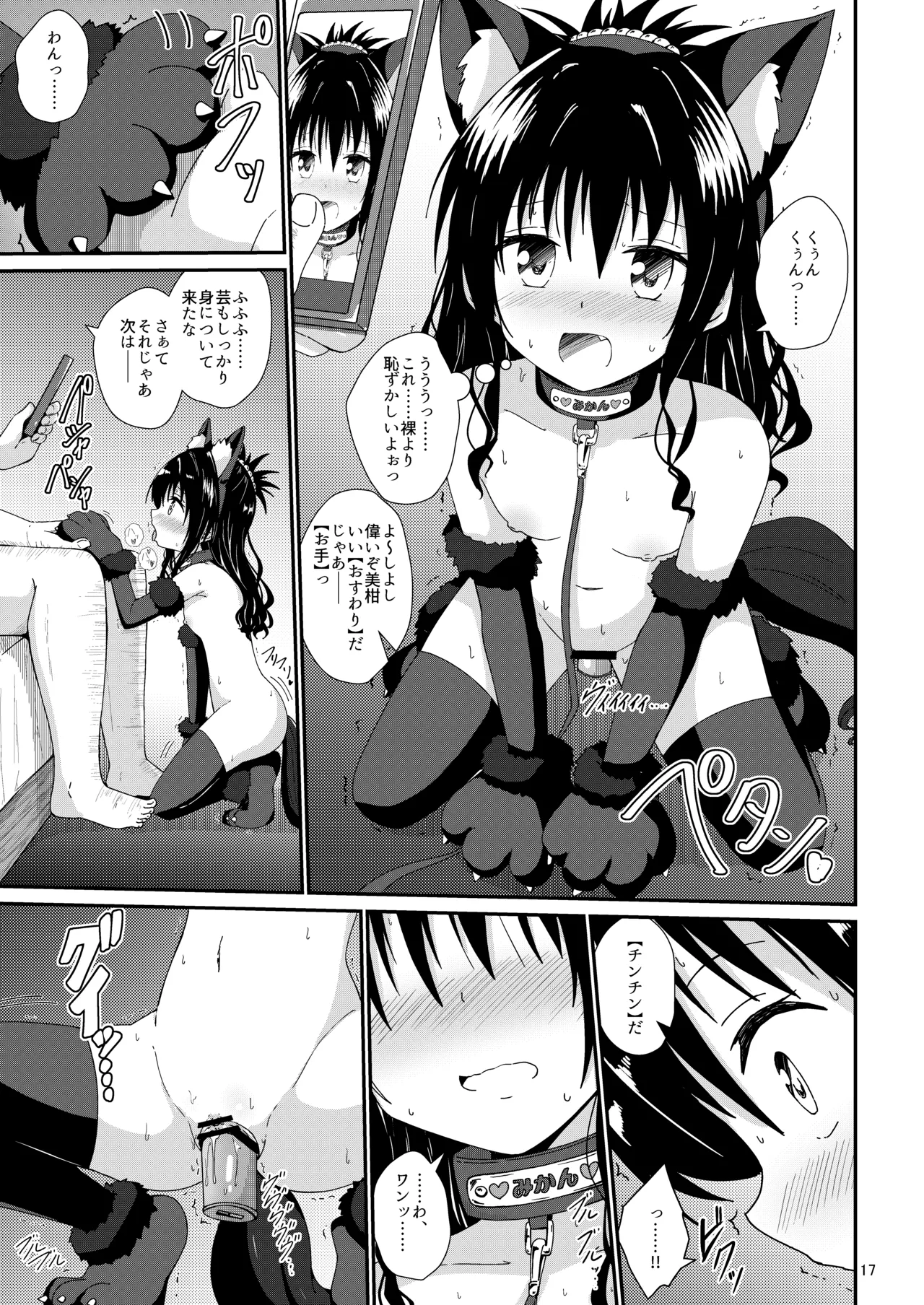 Mikan no Ecchi na Hon 4 - Page 17