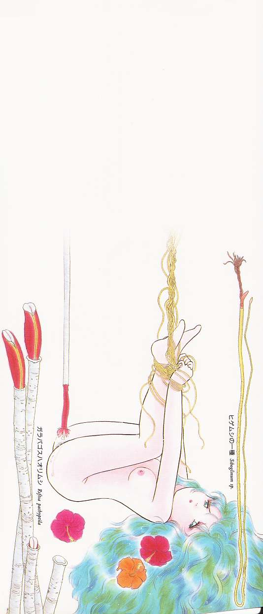 Shoujo no Tekiou to Housan - Radiation and Adaptation of girls page 169 - schoolgirl uniform tankoubon hentai manga - read online free