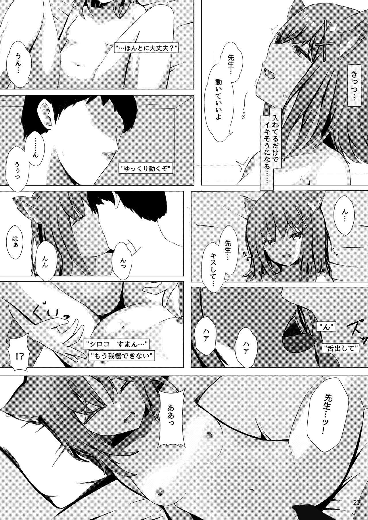 Mesu Ookami Musume no Hatsujouki - Page 27
