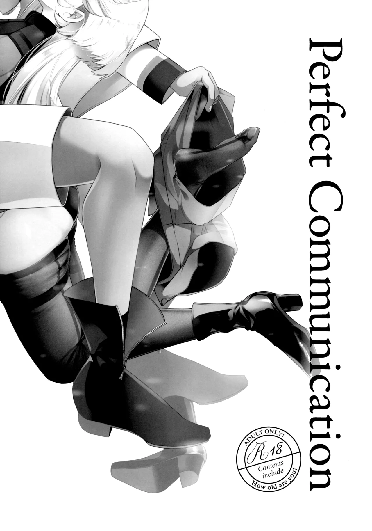 Perfect Communication - Page 2