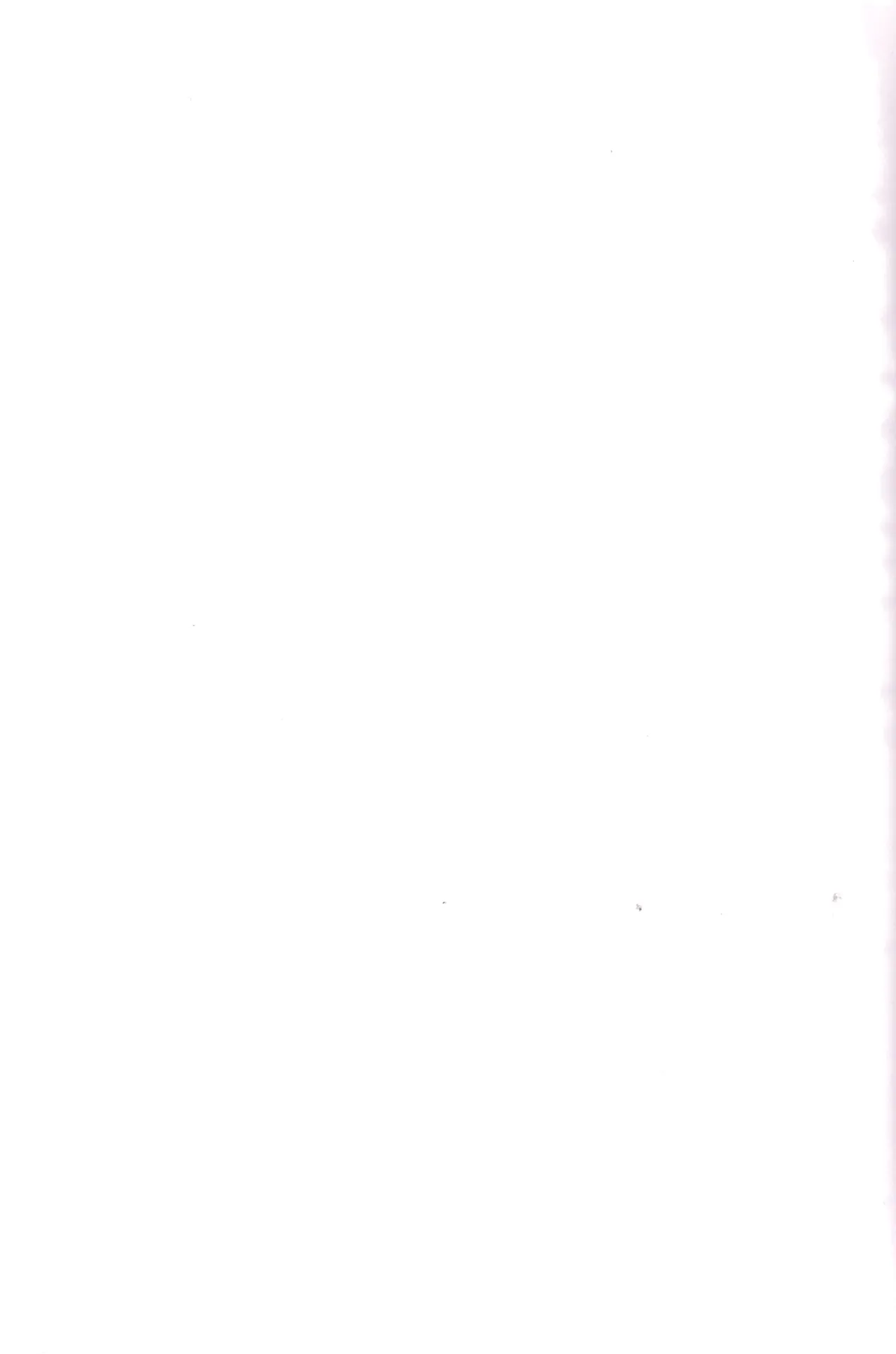 Deribarīkontobideoretā - Page 21