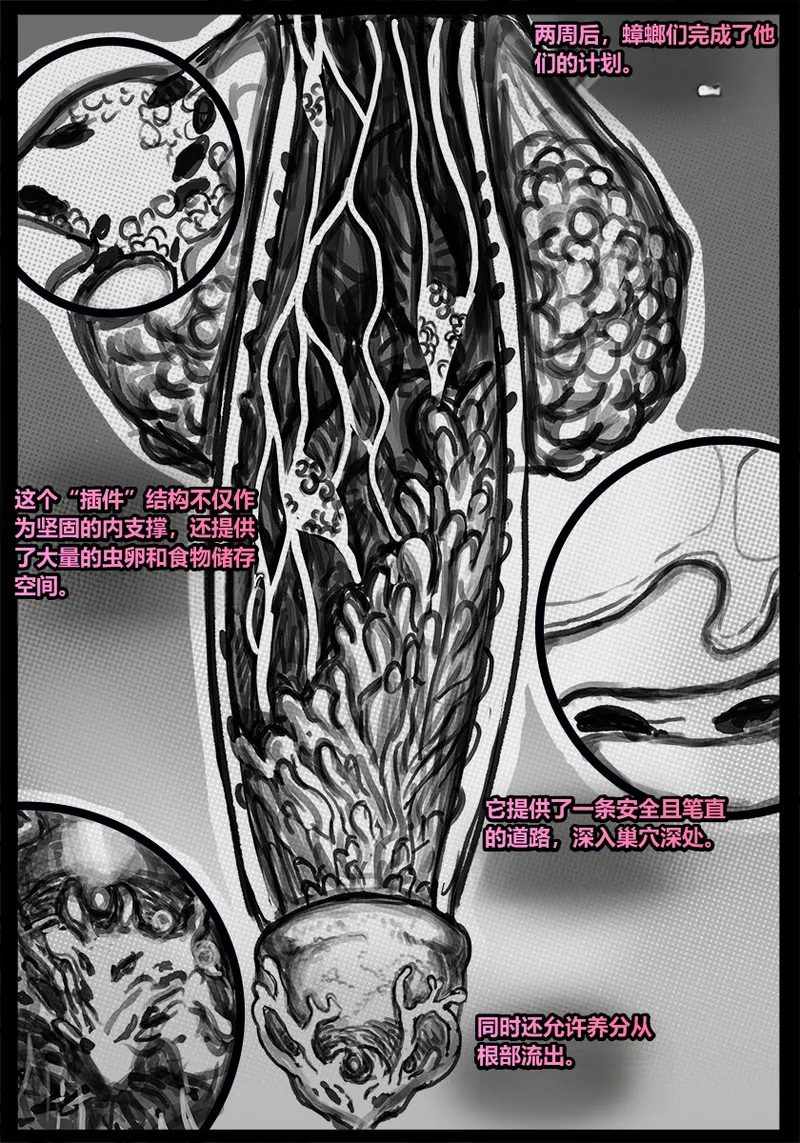 [Qusia] 请让鸡鸡远离虫子！(重口虫子慎入)Please keep your penis away from bugs! - Page 55