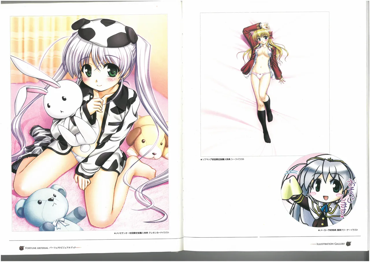 FORTUNE ARTERIAL PERFECT VISUAL BOOK - Page 18