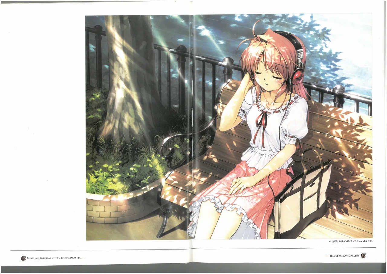 FORTUNE ARTERIAL PERFECT VISUAL BOOK - Page 19