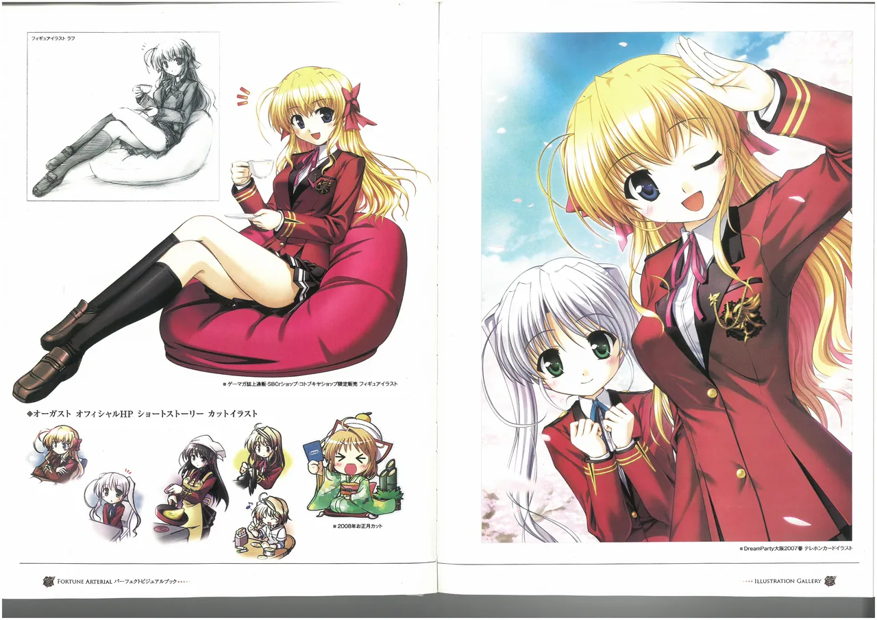 FORTUNE ARTERIAL PERFECT VISUAL BOOK - Page 20