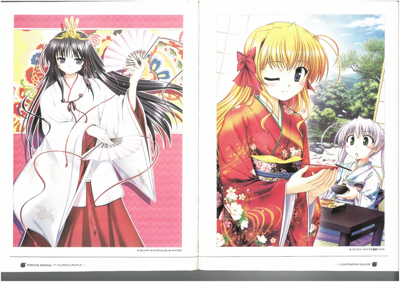 FORTUNE ARTERIAL PERFECT VISUAL BOOK - Page 23