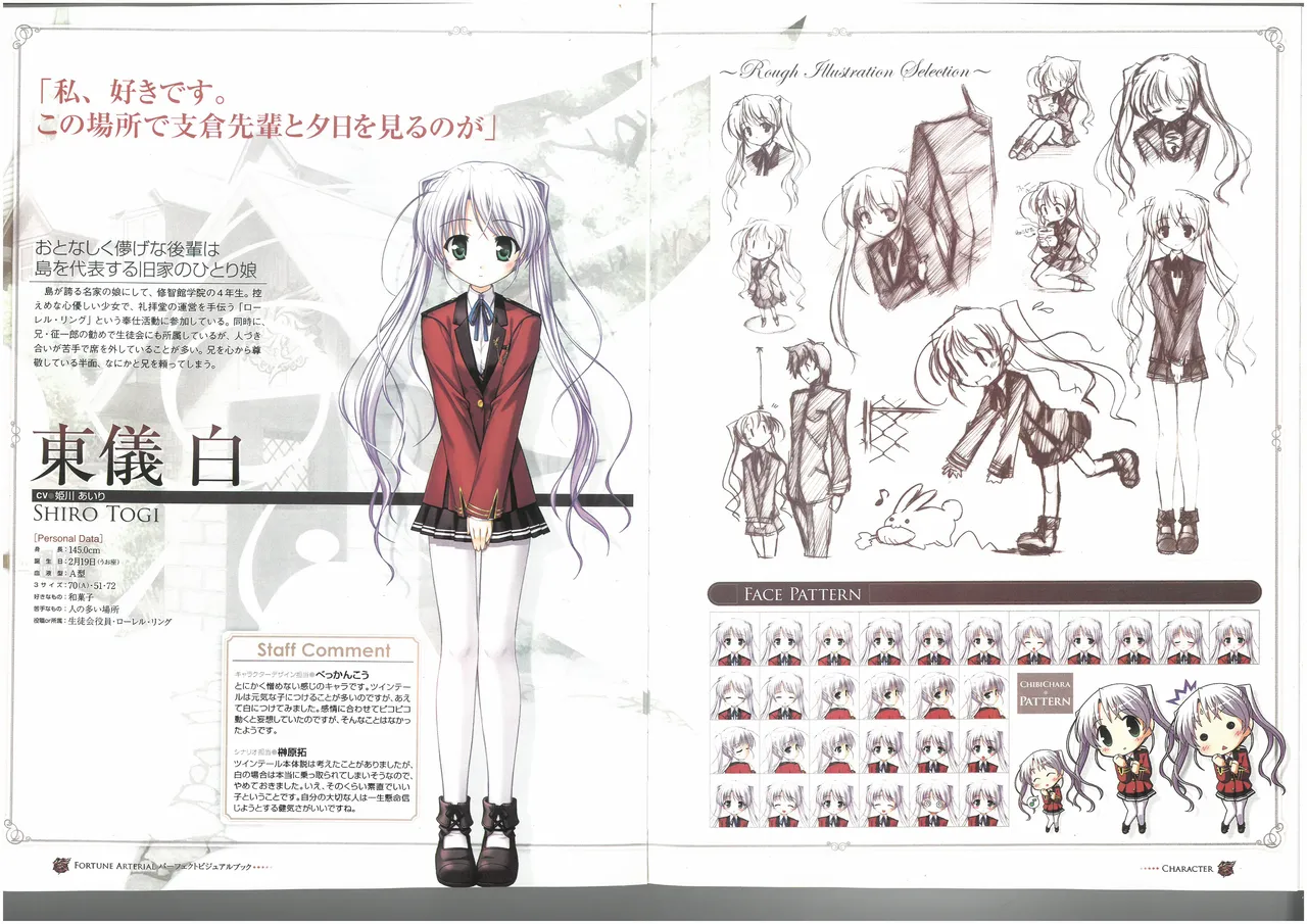FORTUNE ARTERIAL PERFECT VISUAL BOOK - Page 28