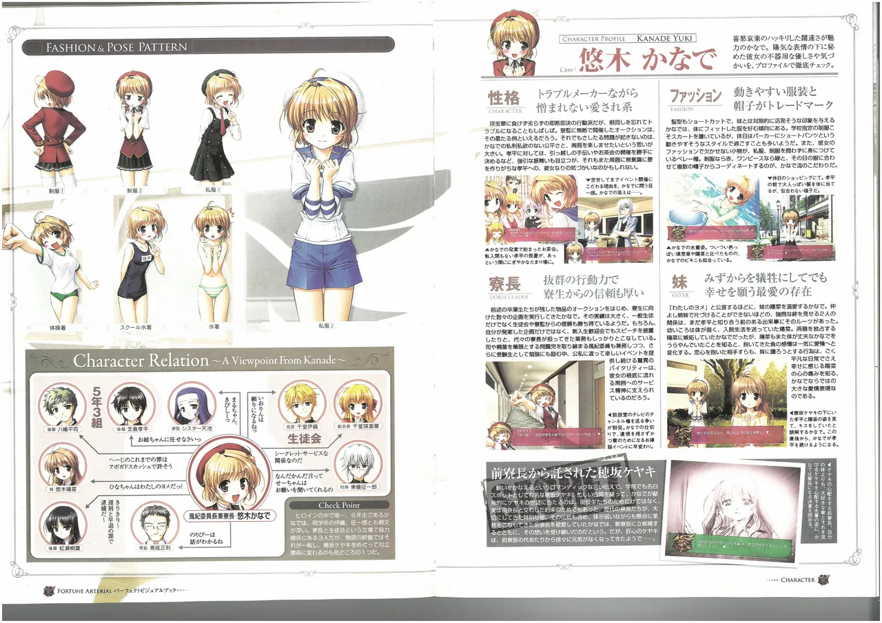 FORTUNE ARTERIAL PERFECT VISUAL BOOK - Page 33