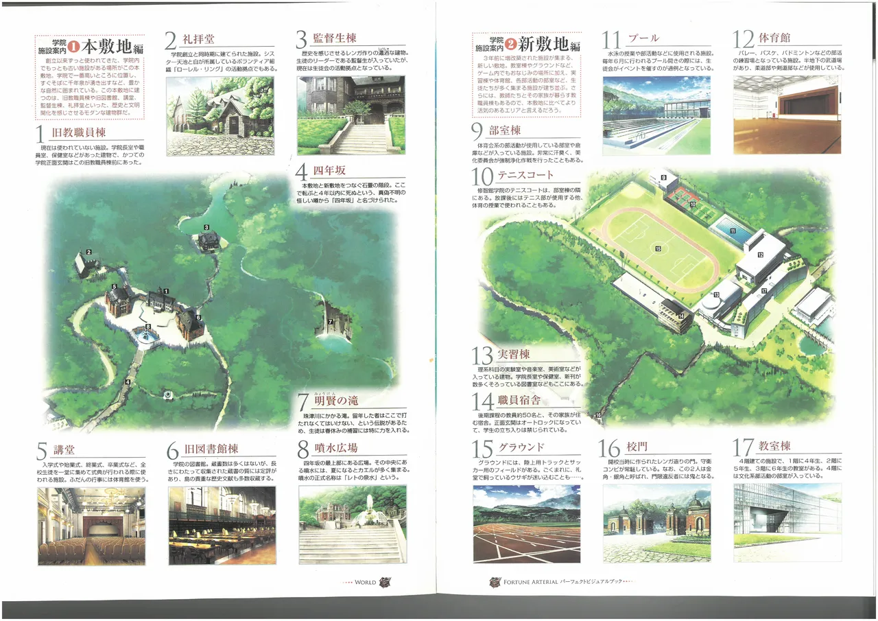 FORTUNE ARTERIAL PERFECT VISUAL BOOK - Page 52