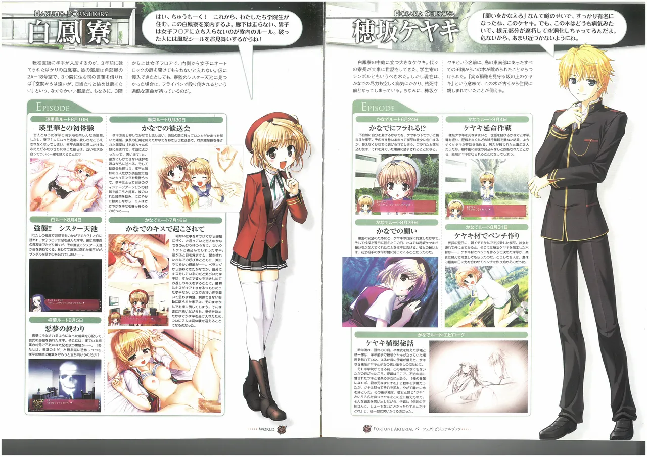 FORTUNE ARTERIAL PERFECT VISUAL BOOK - Page 55