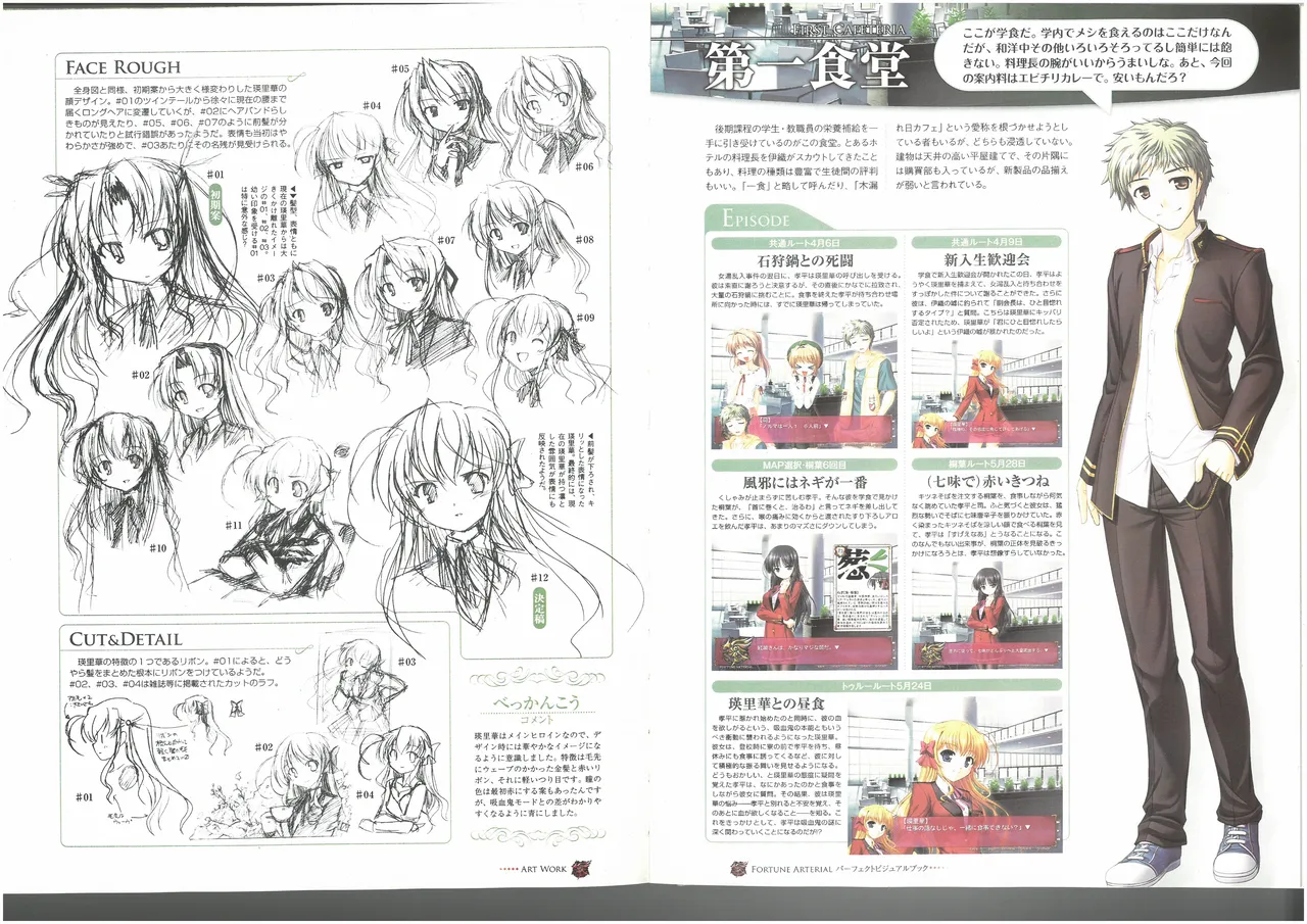 FORTUNE ARTERIAL PERFECT VISUAL BOOK - Page 58