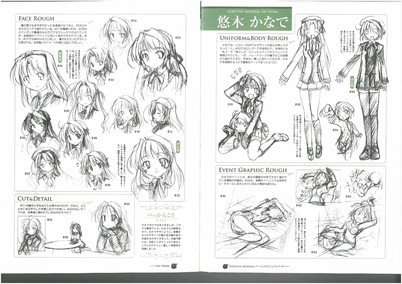 FORTUNE ARTERIAL PERFECT VISUAL BOOK - Page 62