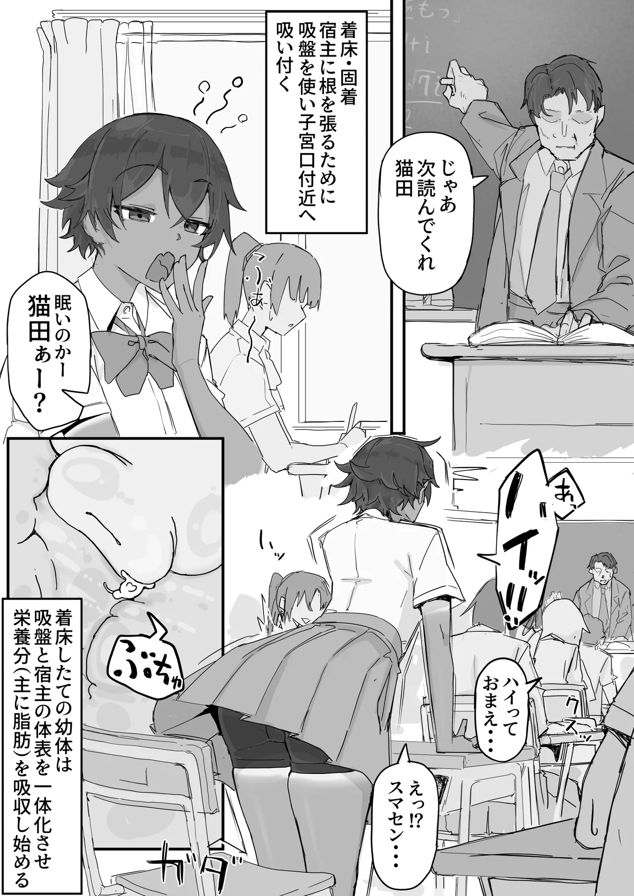 Preview page 5