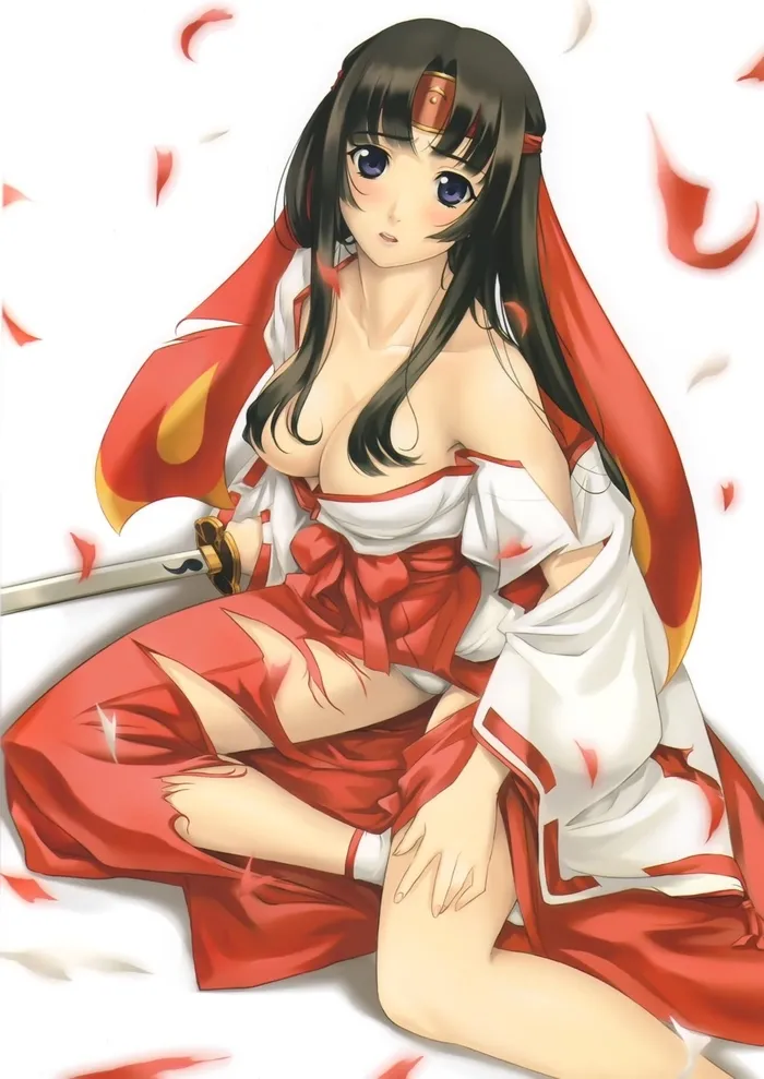 Queen's Blade Tomoe Collection - Page 95