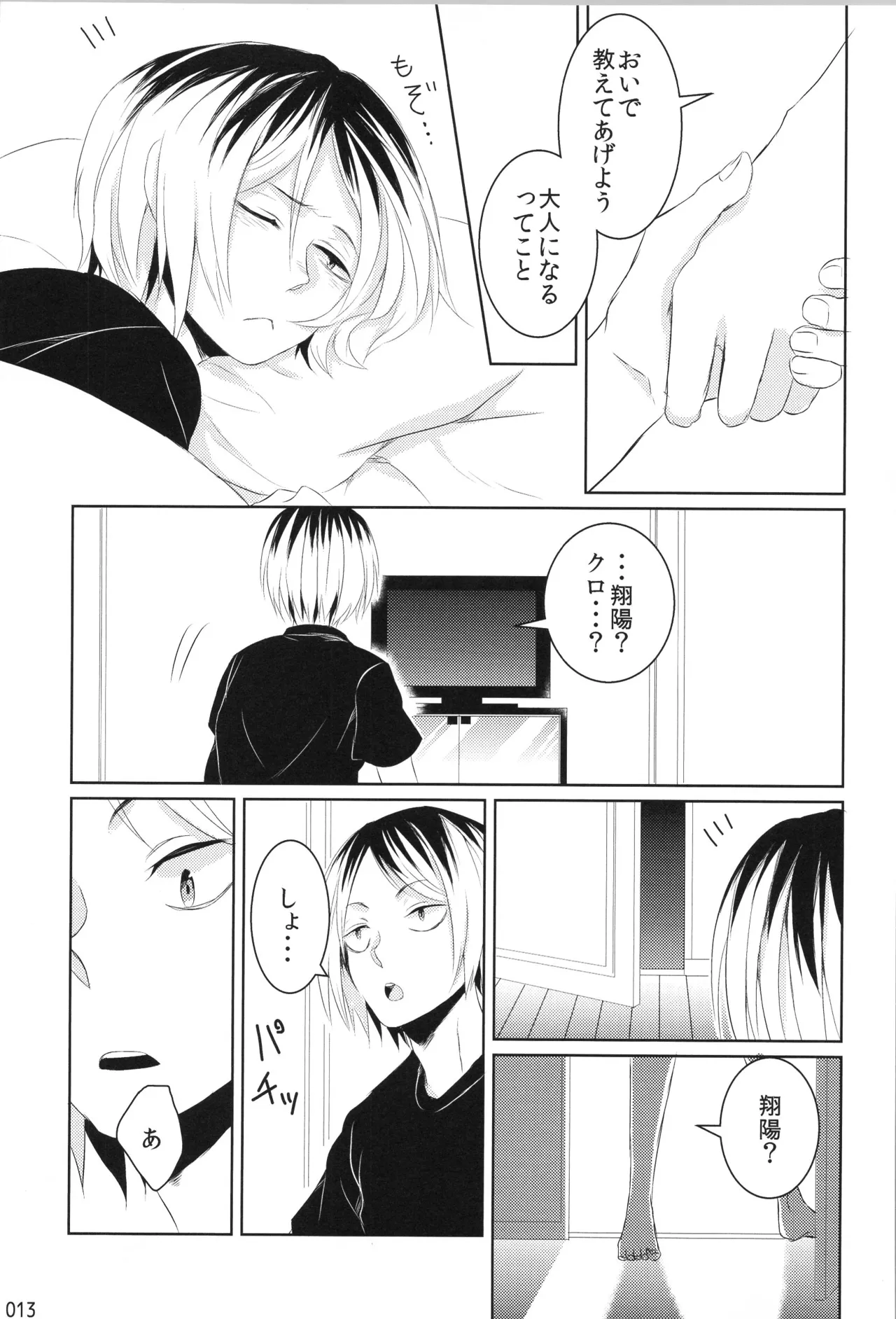 Hokakosei×Hinatashou Sairokuhon OTHER BOX - Page 12