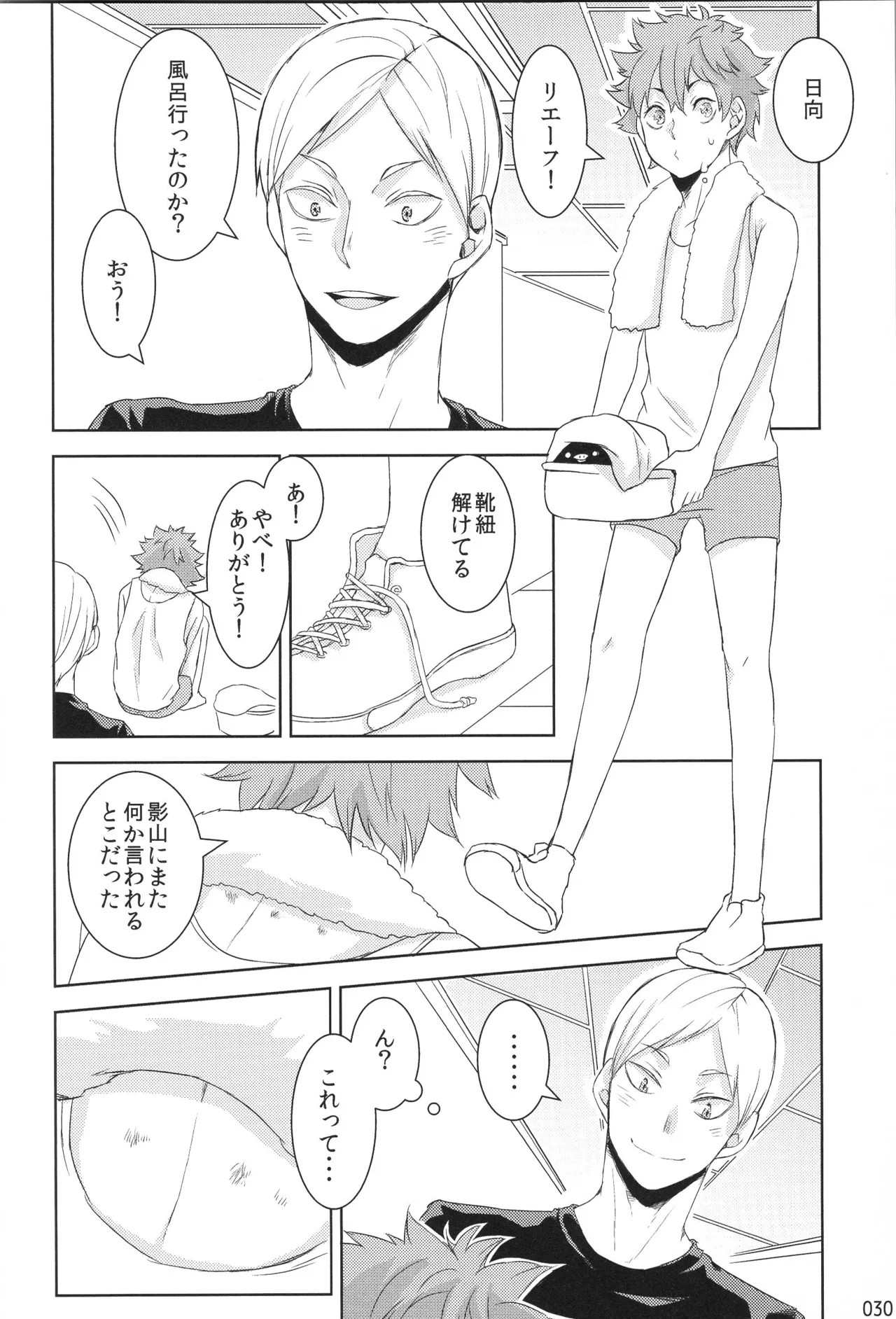 Hokakosei×Hinatashou Sairokuhon OTHER BOX - Page 29