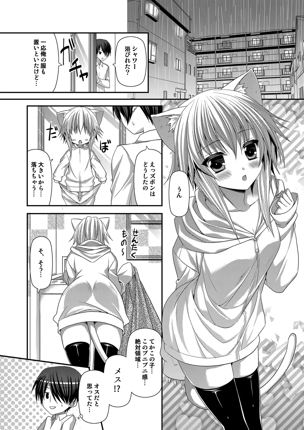 Preview page 3