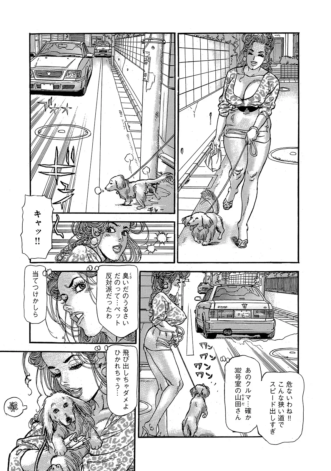 Shirouto Bijinzuma - Page 270