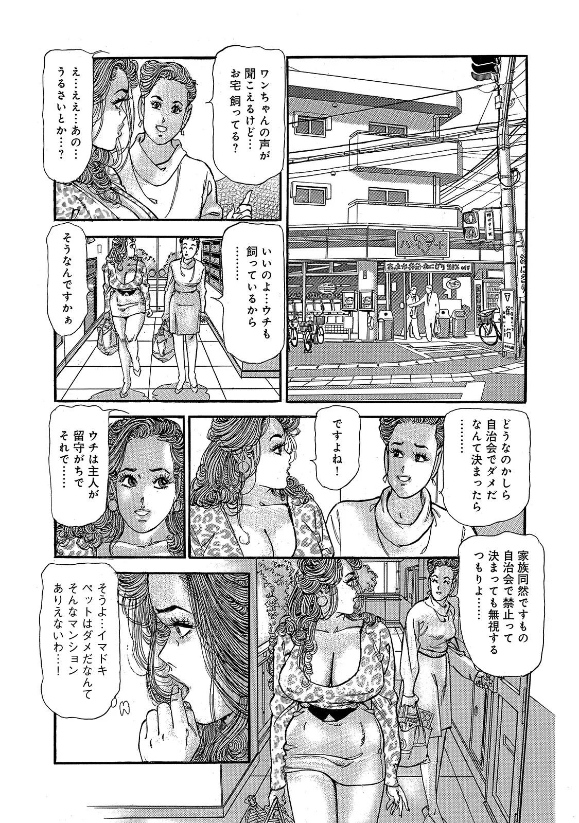 Shirouto Bijinzuma - Page 271