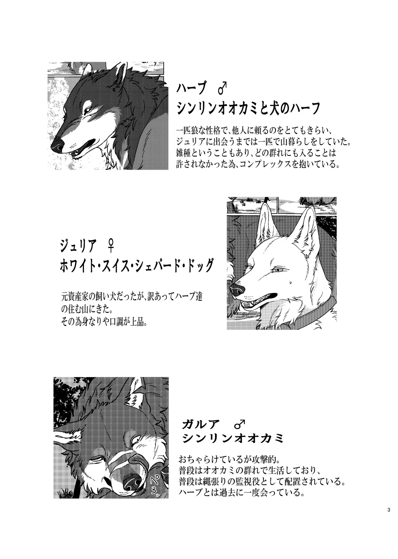 Preview page 2