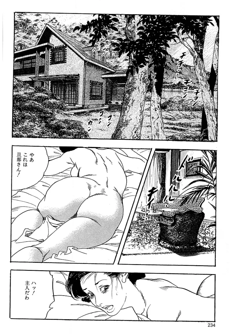 ケン月影の 熟妻お尻を抱えられて（愛蔵版） - Page 232