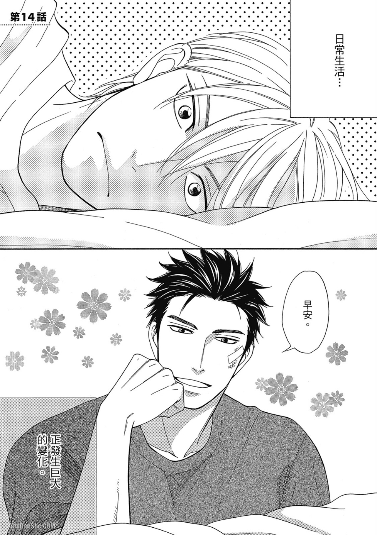 Preview page 5