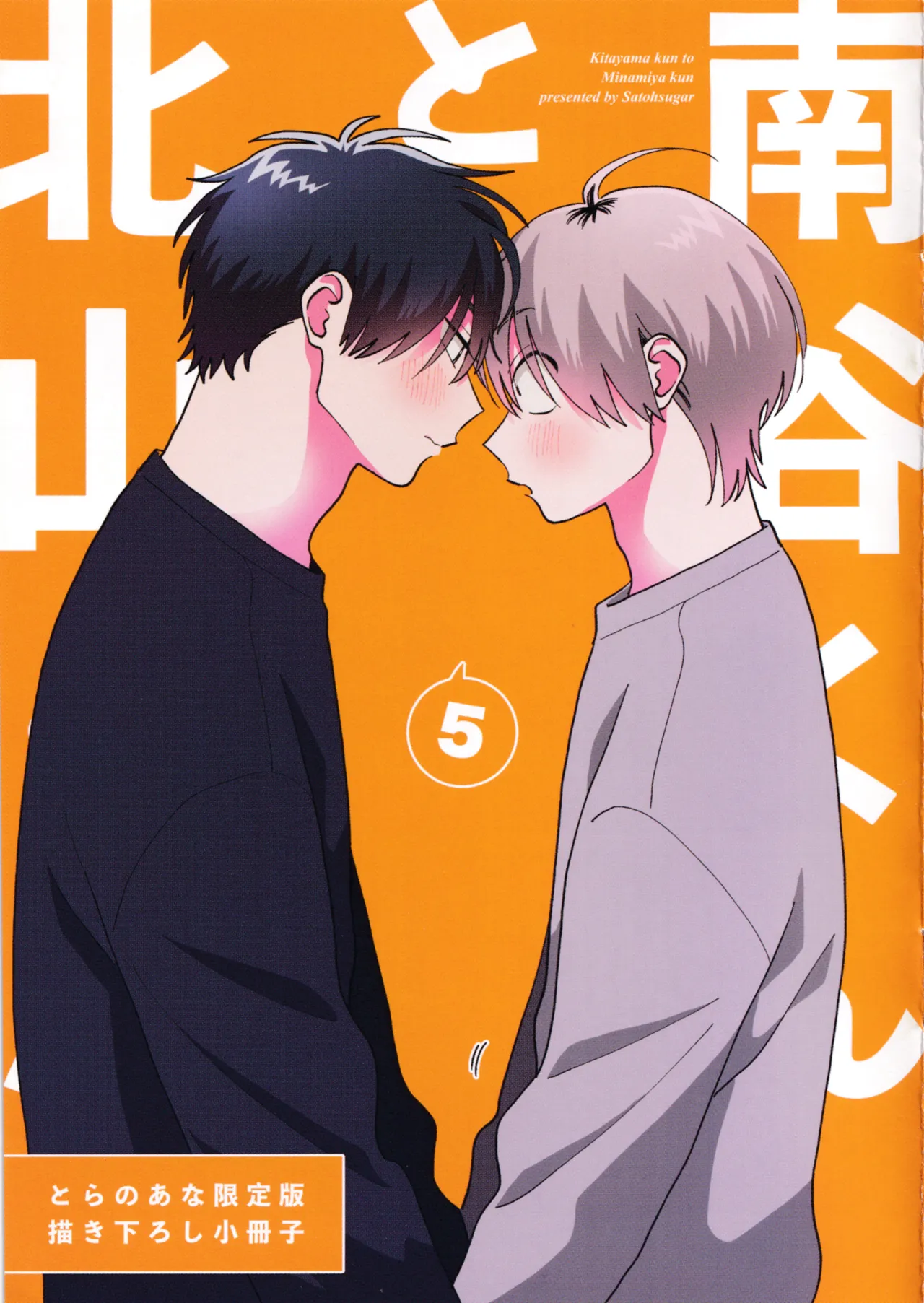 Kitayama-kun to Minamiya-kun 5 | 北山君与南谷君 5 - Page 217