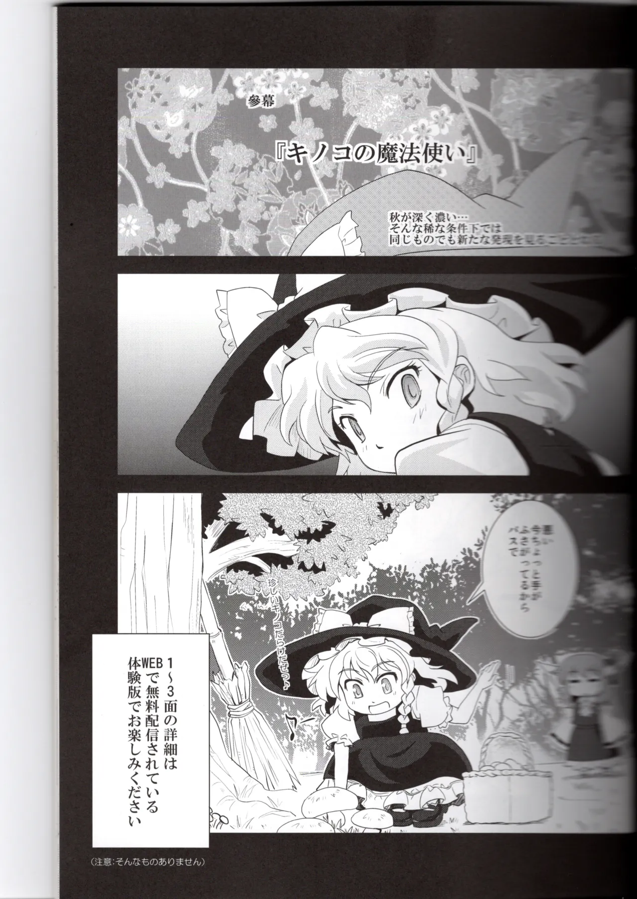Hakurei Jinja ni Aki ga Konai!? - Page 11