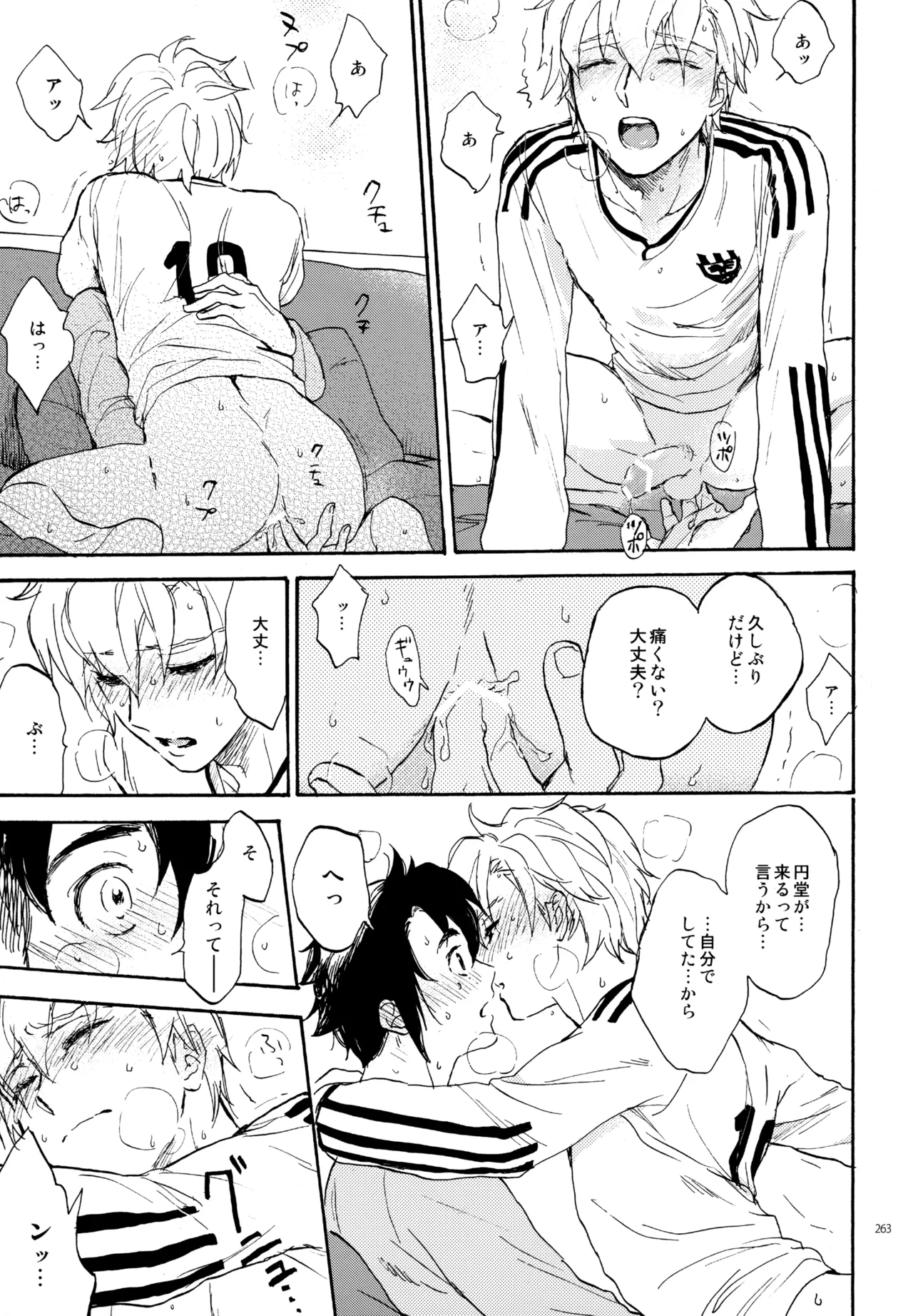 再録本NO：3 - Page 264