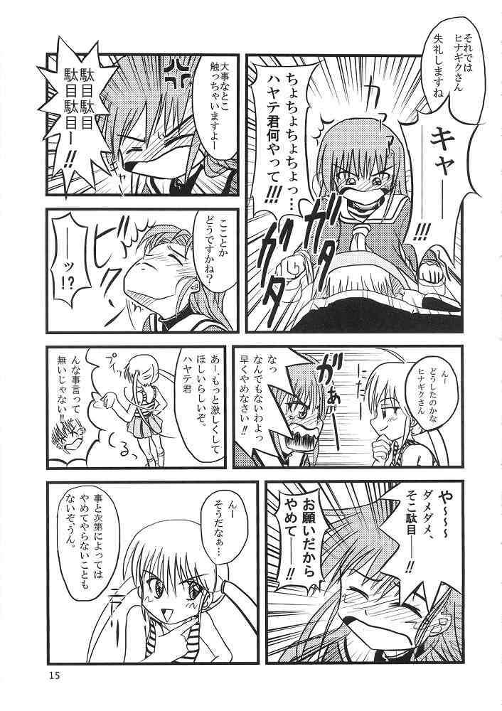 Hayate ni yoru fukuonsho - Page 14