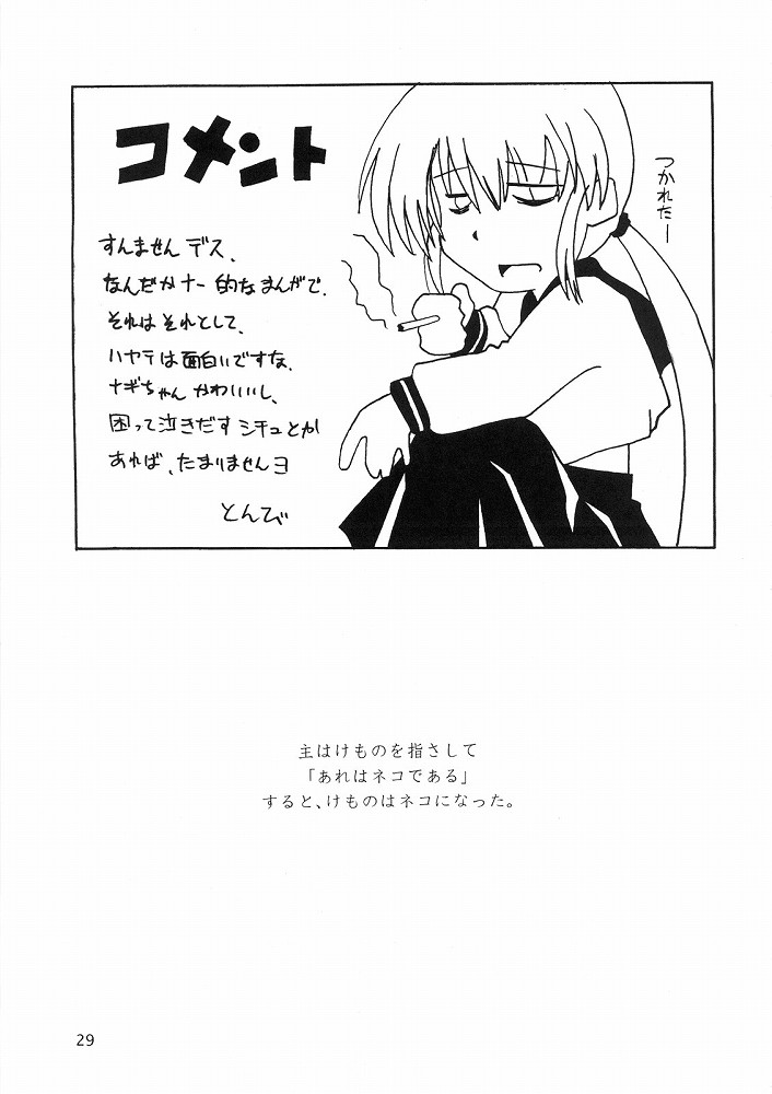 Hayate ni yoru fukuonsho - Page 28