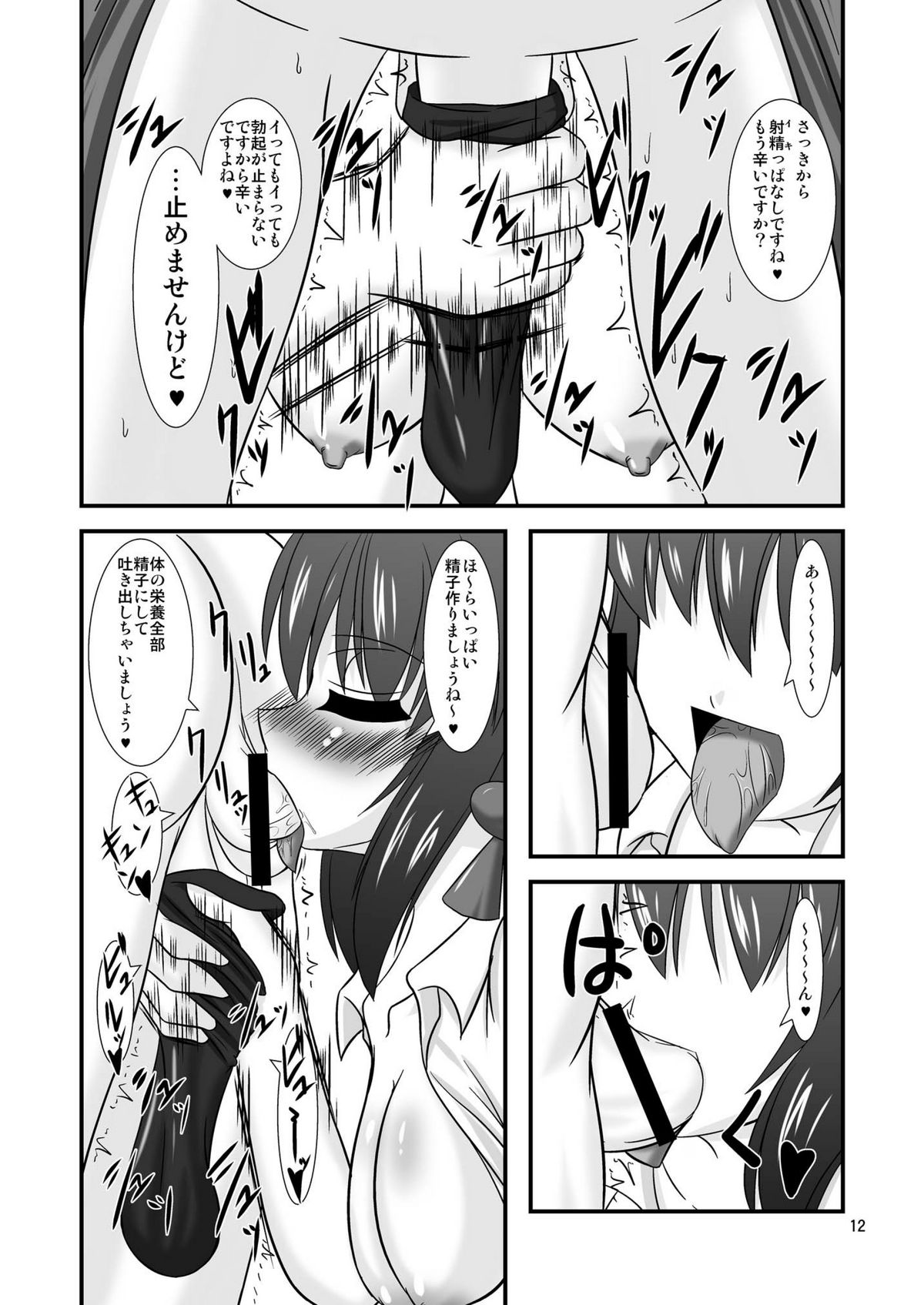 Touhou Dom Hoihoi - Page 12